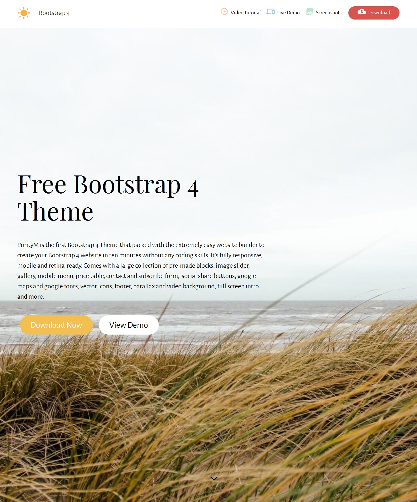 Responsive Bootstrap Portfolio Theme