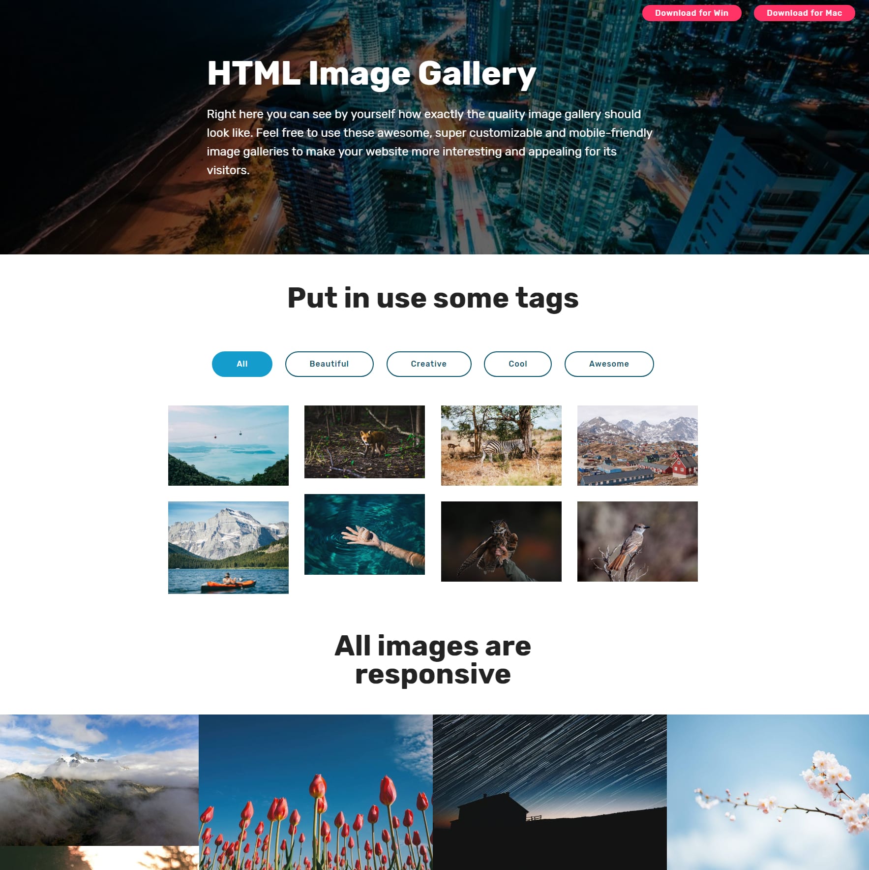 HTML5 Bootstrap Picture Gallery